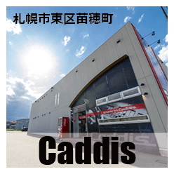 STUDIO Caddis
